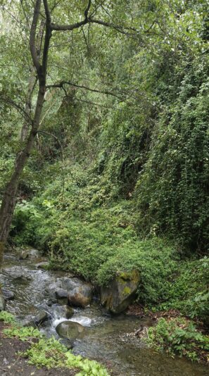 20251012_135815(1)(1)