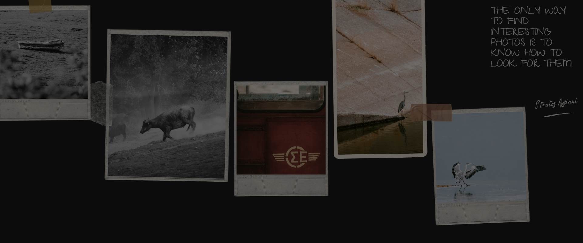 MINDFRAME 003 – ΔΗΜΙΟΥΡΓΙΚΕΣ ΙΔΕΕΣ ΦΩΤΟΓΡΑΦΙΣΗΣ ΣΤΗΝ ΦΥΣΗ